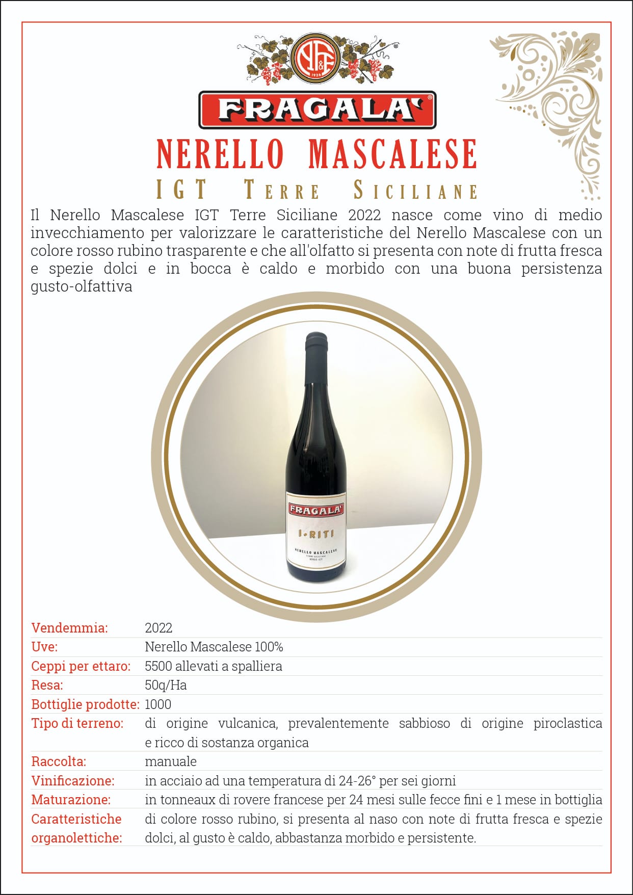 Immagine di copertina